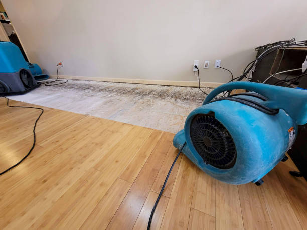 Professional Structural Drying technician working in Pleasant Ridge, MI